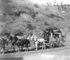 The Deadwood Stagecoach. /Nsouth Dakota, 1890. Poster Print by Granger Collection - Item # VARGRC0065315