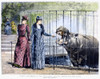 London Zoo, 1891. /Na Woman Feeding A Hippopotamus At The London Zoo. Wood Engraving, English, 1891, After Percy Macquoid. Poster Print by Granger Collection - Item # VARGRC0091112