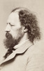 Alfred Tennyson (1809-1892). /N1St Baron Tennyson. English Poet. Poster Print by Granger Collection - Item # VARGRC0030778