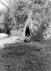 Pomo Cook, C1924. /Na Pomo Woman Cooking Acorns In Front Of A Tepee Made Of Cane, In Northwest California. Photograph By Edward Curtis, C1924. Poster Print by Granger Collection - Item # VARGRC0113870