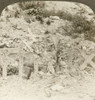 Wwi: Graves, C1917. /N'Soldier'S Graves Torn Up By Bursting Shell, France.' Stereograph, C1917. Poster Print by Granger Collection - Item # VARGRC0324508