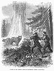 California: Bear Hunt. /Nhunting Bears In Yosemite Valley, California. Wood Engraving, American, 1866. Poster Print by Granger Collection - Item # VARGRC0096178
