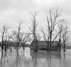 Virginia: Flood, 1936./Nfarmland Flooded By The Shenandoah River In Virginia. Photograph By Arthur Rothstein, March 1936. Poster Print by Granger Collection - Item # VARGRC0325678