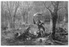 Civil War: Wounded. /Nsearching For The Wounded By Torchlight After The Battle Of Fort Donelson In 1862 During The Civil War. Woodcut. Poster Print by Granger Collection - Item # VARGRC0173332