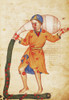 Zodiac: Aquarius, C1350. /Nmanuscript Illumnation, Polish, Mid-14Th Century, For Al-Sufi'S 'Book Of Fixed Stars,' Written In Arabic, C964. Poster Print by Granger Collection - Item # VARGRC0091367