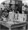 Chicago: Child Labor, 1893. /Nyoung Boys And Men Work Side By Side, Filling Skins In The Sausage Department Of Armour'S Packing House In Chicago, Illinois, C1893. Poster Print by Granger Collection - Item # VARGRC0107903