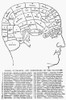 Phrenology, 1869. /Nan American Phrenological Chart Of 1869. Poster Print by Granger Collection - Item # VARGRC0005250