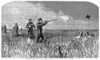 Edward Vii (1841-1910). /Nking Of England, 1901-1910. The Prince Of Wales Hunting On The Prairie During His Visit To The United States In 1860. Contemporary English Wood Engraving. Poster Print by Granger Collection - Item # VARGRC0001842