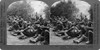 World War I: Prisoners. /Ngerman Prisoners Of War Under French Guard. Stereograph, 1914-1918. Poster Print by Granger Collection - Item # VARGRC0325667
