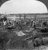 World War I: Barbed Wire. /Nfrench Soldiers Preparing Barbed Wire For The Front Line, At Lempire, Meuse, France, During World War I. Stereograph, 1914-1918. Poster Print by Granger Collection - Item # VARGRC0325486