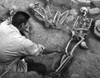 Mesa Verde: Burial Site. /Na Prehistoric Native American Burial Site In A Pithouse At Wetherill Mesa At Mesa Verde National Park In Colorado. Photograph By Fred Mang, Jr., C1965. Poster Print by Granger Collection - Item # VARGRC0259079