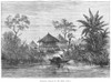 African Village, 1878. /Nmanganja Village On The Shire River, East Africa. Wood Engraving, English, 1878. Poster Print by Granger Collection - Item # VARGRC0042072