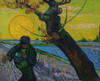 Van Gogh: Sower, 1888. /Noil On Canvas, Vincent Van Gogh, 1888. Poster Print by Granger Collection - Item # VARGRC0433653