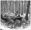 Maple Syrup, 1877. /Nboiling And Stirring Maple Sap In Order To Make Syrup. Wood Engraving, American, 1877. Poster Print by Granger Collection - Item # VARGRC0098300