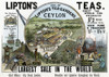 Tea Advertisement, 1896. /Nfor Lipton'S Teas Featuring The English Company'S Plantations In Ceylon. Poster Print by Granger Collection - Item # VARGRC0054030