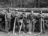 Lumberjacks, 1939. /Nfive Lumberjacks Of The Ola Self-Help Sawmill Cooperative, Gem County, Idaho. Photograph By Dorothea Lange, October 1939. Poster Print by Granger Collection - Item # VARGRC0123118