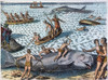 Harpooning Whales, C1590. /Nnative Americans Pull Harpooned Whales To Shore As Europeans Look On. Engraving, C1590, By Theodor De Bry. Poster Print by Granger Collection - Item # VARGRC0034817