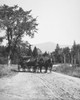 Maine: Horse Wagon, C1900. /Nhorse Wagon In Maine. Photographed C1900. Poster Print by Granger Collection - Item # VARGRC0099078