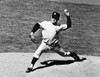 Edward 'Whitey' Ford /N(1928- ). American Baseball Pitcher For The New York Yankees. Photographed During A Game Against The Boston Red Sox, 1962. Poster Print by Granger Collection - Item # VARGRC0169734