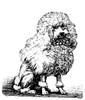 Poodle. /Nwood Engraving. Poster Print by Granger Collection - Item # VARGRC0082354