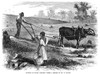 Sharecropper, 1866. /N'Plowing In South Carolina.' Wood Engraving, American, 1866. Poster Print by Granger Collection - Item # VARGRC0038724