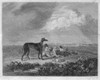 England: Coursing, 1832. /Nrabbit Hunting In England. Line Engraving, 1832. Poster Print by Granger Collection - Item # VARGRC0096254