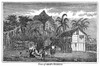 Pitcairn Island. /Nhome Of John Adams (C1760-1829). /Nalias Alexander Smith, The Last Surviving Mutineer Of Hms 'Bounty'. Wood Engraving, 1855. Poster Print by Granger Collection - Item # VARGRC0004636