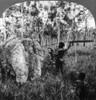 Aboriginal Hunters, C1919. /Ntwo Aboriginal Natives Of Australia Hunting With Spears. Stereograph, C1919. Poster Print by Granger Collection - Item # VARGRC0113714