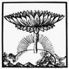 Hinduism: Egg And Lotus. /Nthe Egg And Lotus, The Hindu Symbol Of Health And Eternity. Wood Engraving. Poster Print by Granger Collection - Item # VARGRC0097856