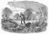 Trolling For Jack, 1850. /Nwood Engraving, English, 1850. Poster Print by Granger Collection - Item # VARGRC0101386
