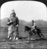 China: Ming Tombs, C1907. /Na Chinese Man On His Donkey Standing Next To One Of The Stone Statues At The Ming Dynasty Tombs Located North Of Peking, China. Stereograph, C1907. Poster Print by Granger Collection - Item # VARGRC0117555