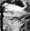 Grand Canyon, C1925. /Na View Of The Grand Canyon In Arizona, From Grand View Hotel. Stereograph, C1925. Poster Print by Granger Collection - Item # VARGRC0129242