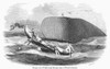 Whaling, 1850. /Nwood Engraving, American, 1850. Poster Print by Granger Collection - Item # VARGRC0014639