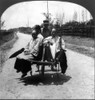 China: Wheelbarrows, C1926./Nupper Class Chinese Women Traveling To Town In A Wheelbarrow Pushed By One Man, China. Stereograph, C1926. Poster Print by Granger Collection - Item # VARGRC0115968