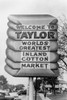 Texas: Cotton Sign, 1939. /Nsymbol Of Cotton In Taylor, Texas. Photograph By Russell Lee, April 1939. Poster Print by Granger Collection - Item # VARGRC0122315