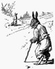 Harris: Uncle Remus, 1895. /Nbrer Rabbit And Brer Fox. Pen-And-Ink Drawing By Arthur Burdett Frost For The Second Edition Of The African American Folk Tale By Joel Chandler Harris, 1895. Poster Print by Granger Collection - Item # VARGRC0001241