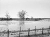 Tennessee: Flood, 1937. /Nfarmland Submerged By The Flood At Bessie Levee Near Tiptonville, Tennessee. Photograph By Walker Evans, February 1937. Poster Print by Granger Collection - Item # VARGRC0325687