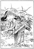 Cranes. Poster Print by Granger Collection - Item # VARGRC0082400