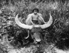 Water Buffalo. /Nphotographed Mid-20Th Century. Poster Print by Granger Collection - Item # VARGRC0100680