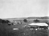 Cowboys, C1905. /N'Cowboys Racing To Dinner.' Photograph, C1905. Poster Print by Granger Collection - Item # VARGRC0186529