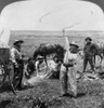 Oklahoma: Cowboys, C1905. /Na Cowboy Twirling A Lariat In The Air As Six Other Cowboys Watch At A Cowboys' Camp In Oklahoma. Stereograph, C1905. Poster Print by Granger Collection - Item # VARGRC0124983