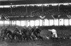 Football Game, 1925. /Nphil White Of The New York Giants Attempting To Gain Yards In A Game Against The Chicago Bears, At The Polo Grounds In New York City, 6 December 1925. Poster Print by Granger Collection - Item # VARGRC0170378