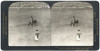 Spain: Bullfight, C1908. /N'A Moment Of The Deadliest Danger - Matador'S Sword Tossed From His Hand By Infuriated Bull, Bull Fight, Seville, Spain.' Stereograph, C1908. Poster Print by Granger Collection - Item # VARGRC0323716