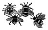Insects: Bees. /Nwoodcut, English, 1658. Poster Print by Granger Collection - Item # VARGRC0057651