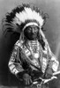Red Cloud, Oglala Lakota Indian Chief Poster Print by Science Source - Item # VARSCIJA8643
