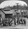 World War I: U.S. Camp. /Namerican Troops Washing Their Own Dishes At A Camp During World War I. Stereograph, 1917-1918. Poster Print by Granger Collection - Item # VARGRC0325729
