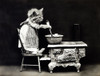 The Cook, 1914 Poster Print by Science Source - Item # VARSCIJB6405