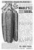 Ad: Seeds, 1889. /Namerican Magazine Advertisement For Maule'S Corn Seeds, 1889. Poster Print by Granger Collection - Item # VARGRC0323684