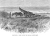 Nantucket Scene, 1875. /Nhauling A Dory Over The Hills On Nantucket, Massachusetts. Wood Engraving, 1875. Poster Print by Granger Collection - Item # VARGRC0066517