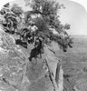 Grand Canyon, 1903. /Na Man With A Horse And Two Pack Mules On The Grand View Trail Overlooking The Grand Canyon In Arizona. Stereograph, 1903. Poster Print by Granger Collection - Item # VARGRC0129497